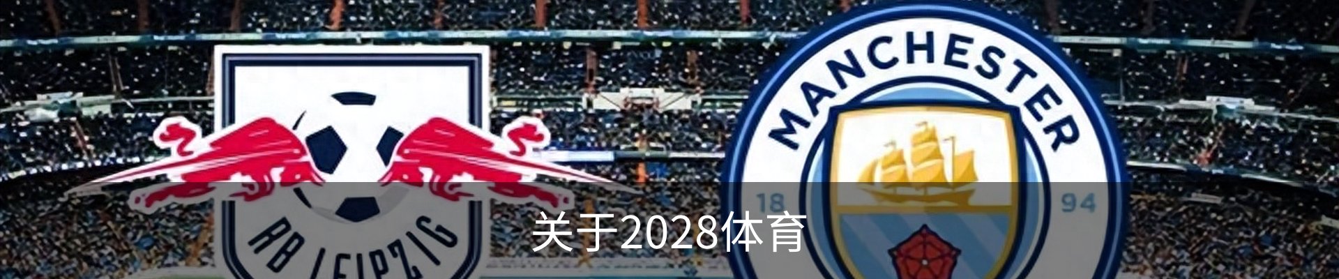 关于2028体育